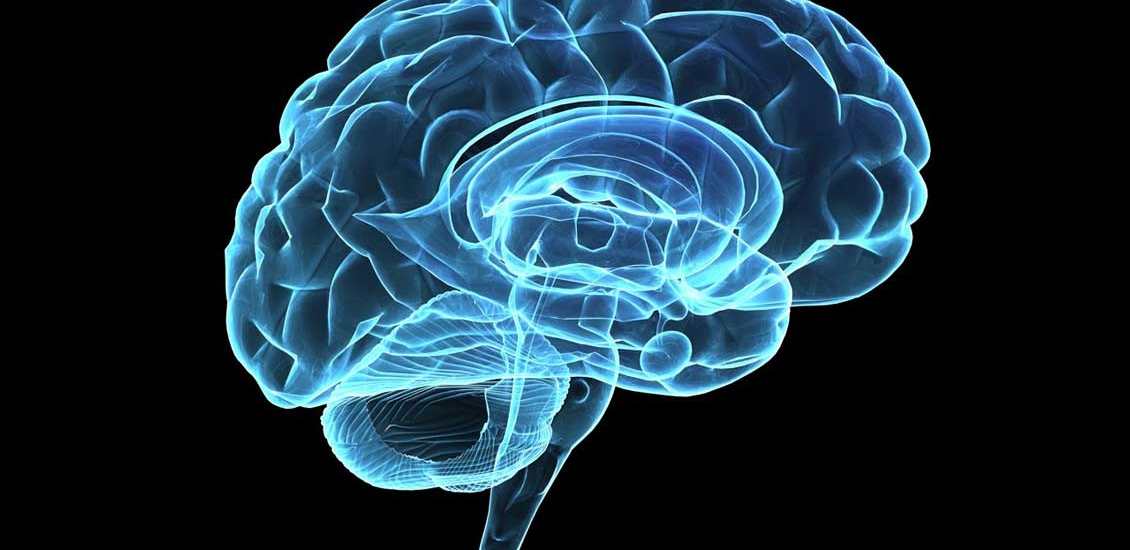 تعیین میزان هوش افراد با اسکن مغزی