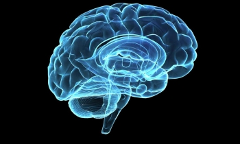 تعیین میزان هوش افراد با اسکن مغزی