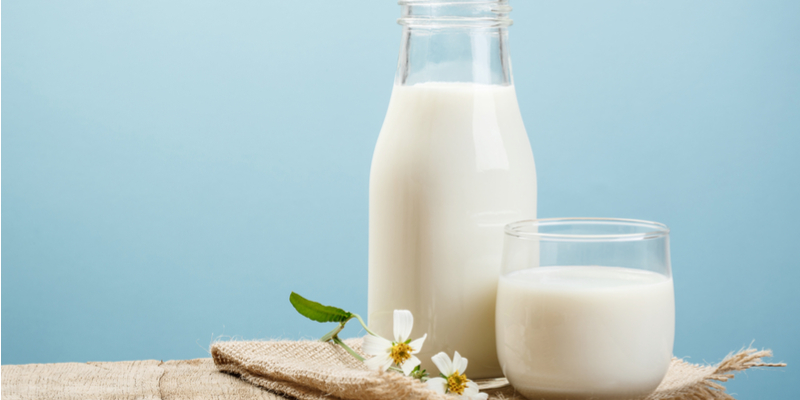 خواص شیر شتر | 27 خاصیت شیر شتر و مضرات آن برای بدن