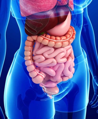 مشکلات دستگاه گوارش